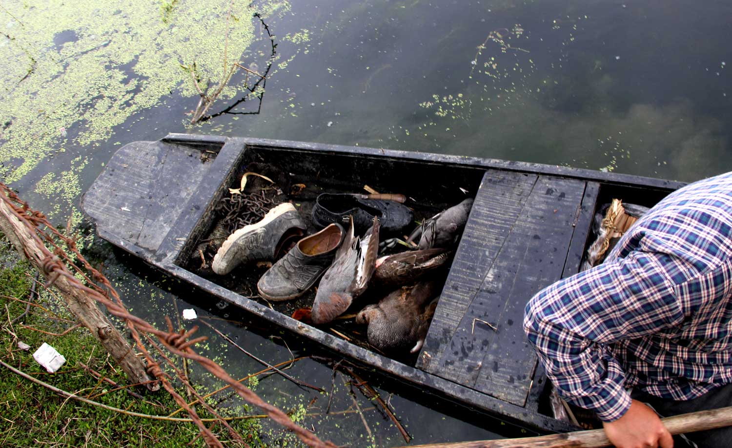 Afshan poacher hokersar wetland