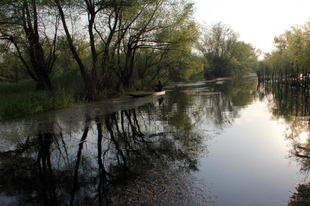 Afshan poacher hokersar wetland